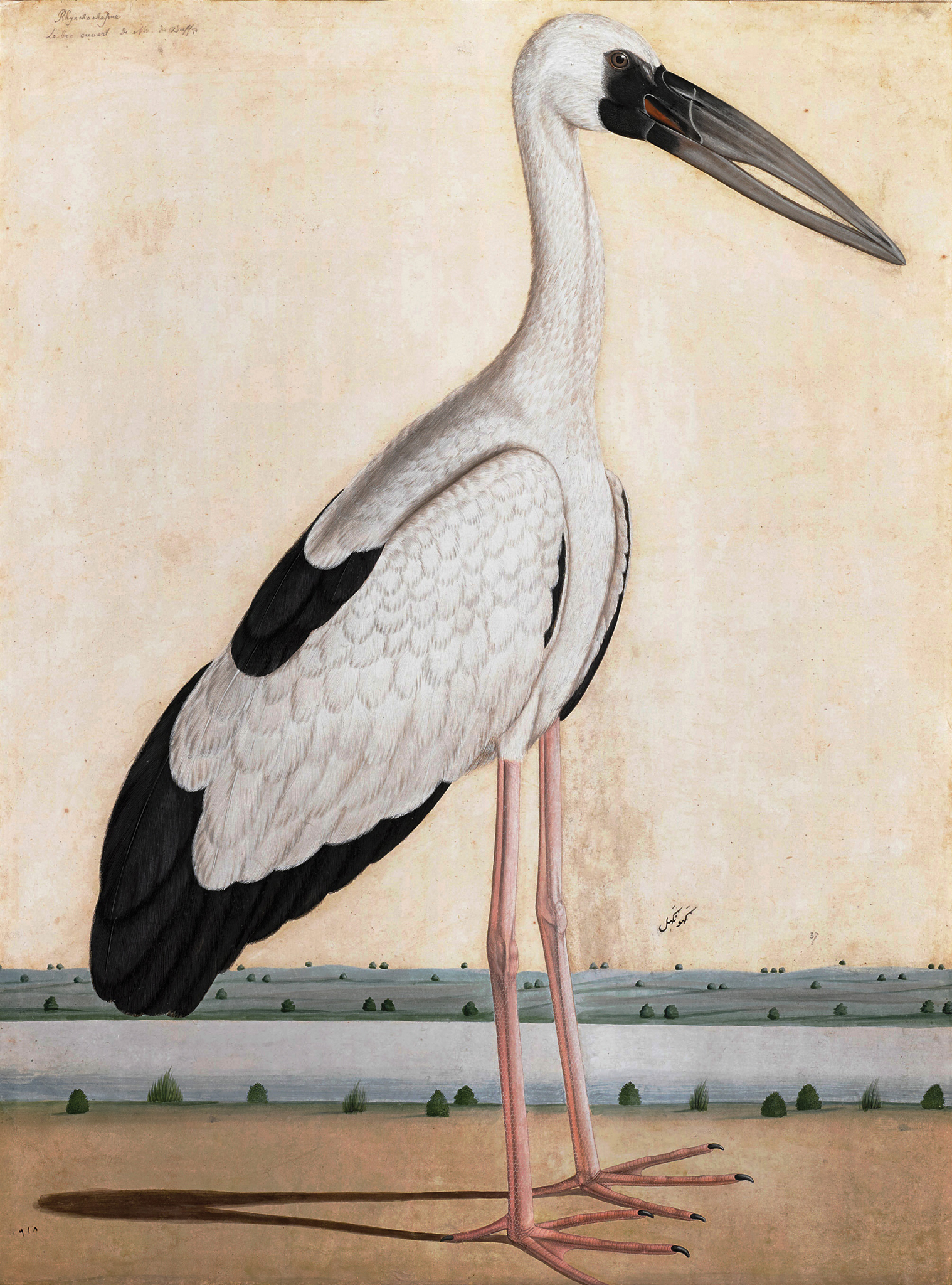 From ‘Forgotten Masters’ at the Wallace Collection