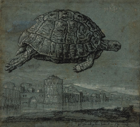 Tortoise above the Venetian lagoon, 1555
