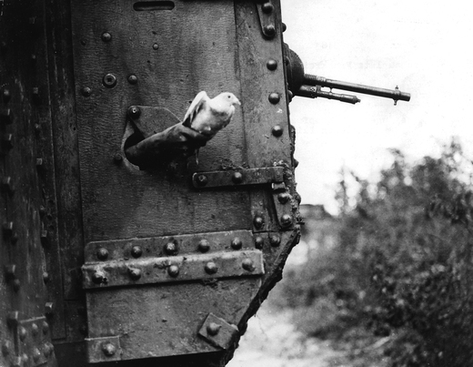 A carrier pigeon being released from a British tank during World War One.