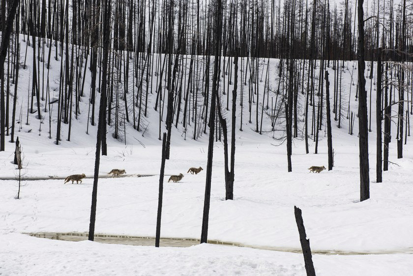 A still from ‘Redoubt’