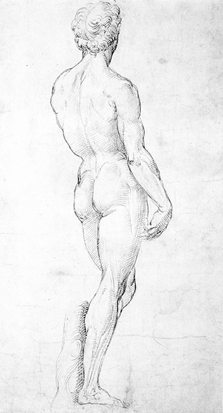 Raphael’s ‘David’ (1504).