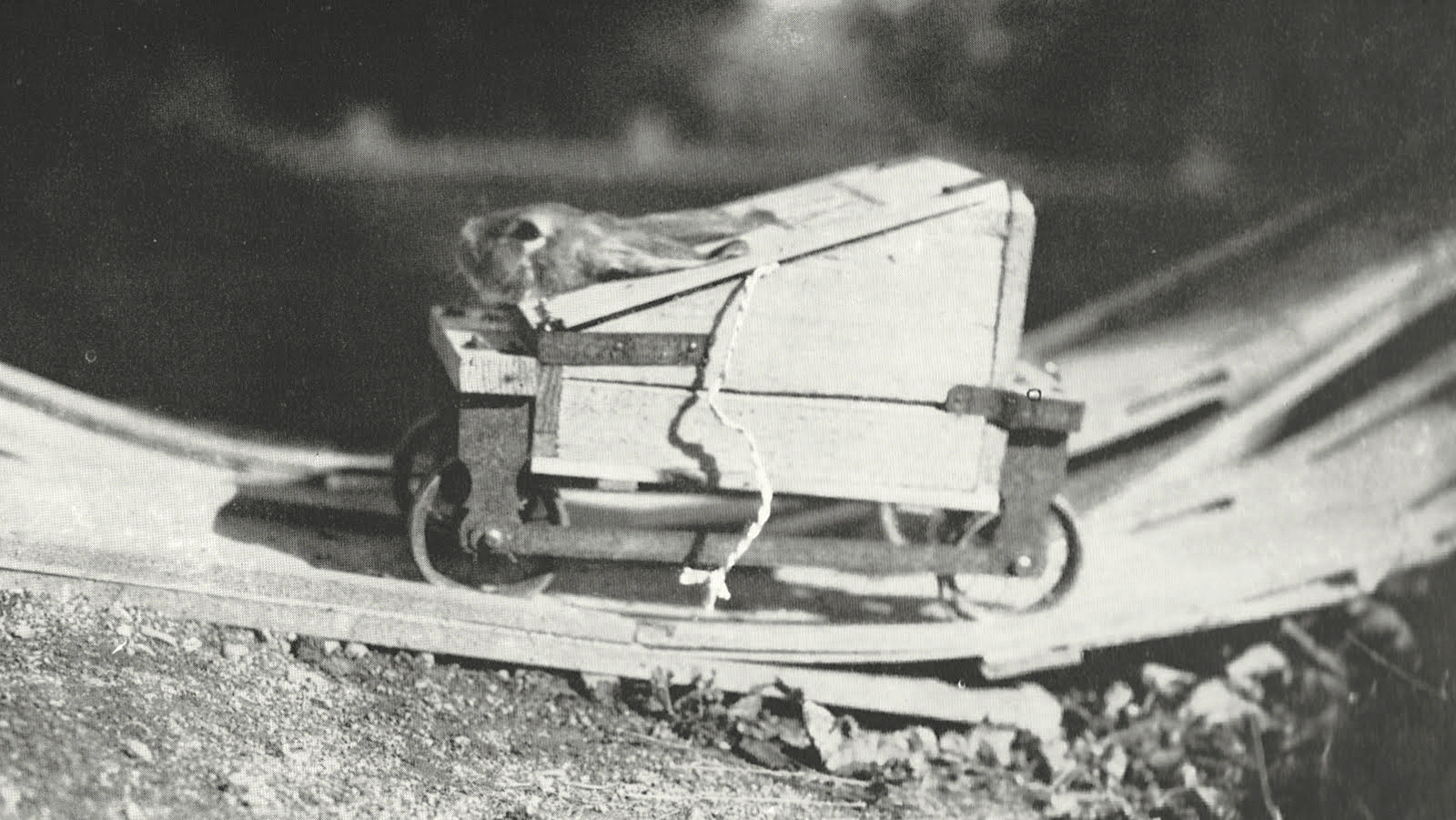 Maurice’s loop-the-loop wheeled box (1910)