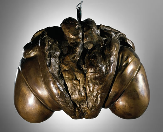 ‘Janus Fleuri’ (1968).