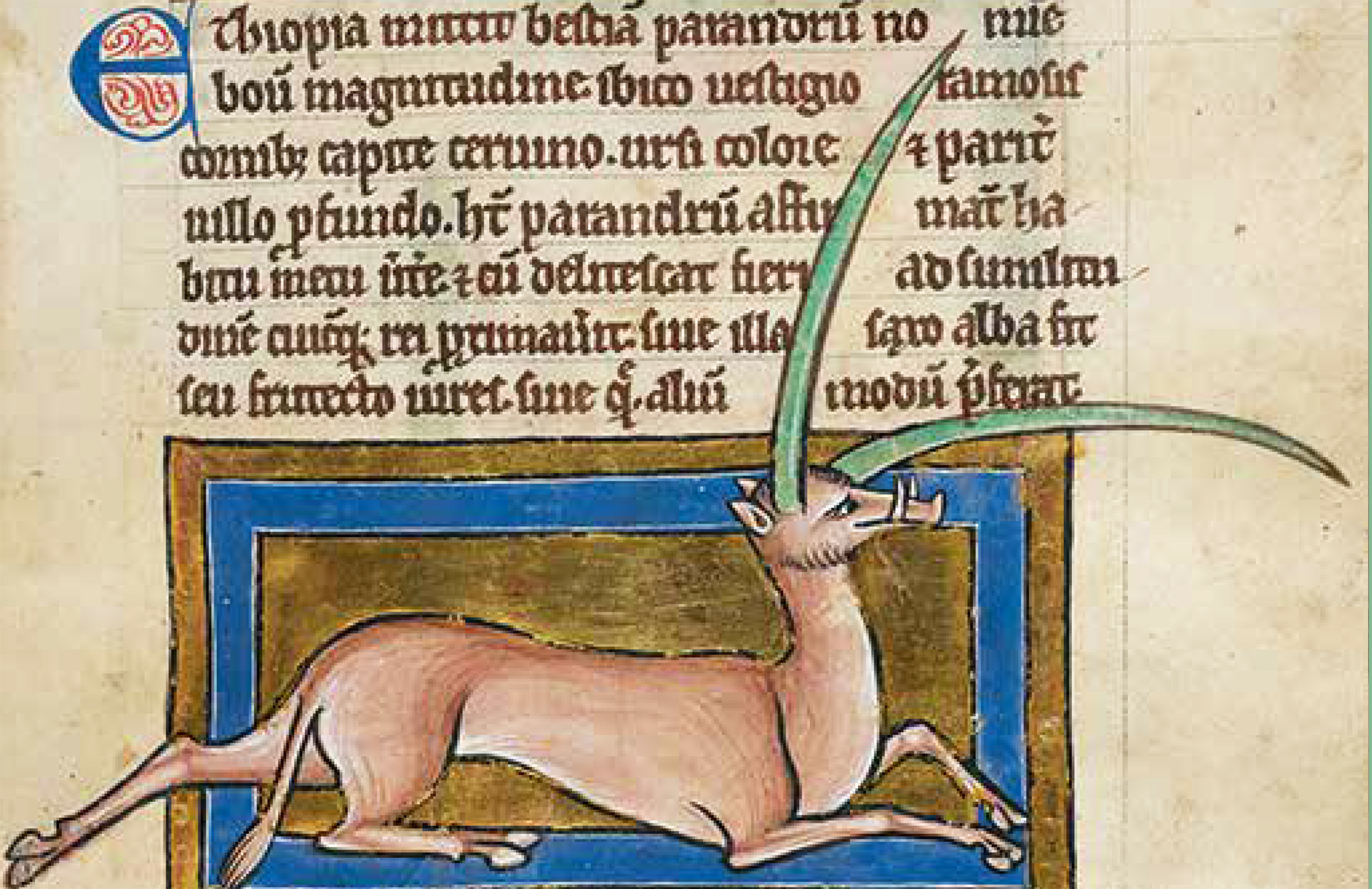 From ‘The Book of Beasts’