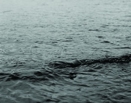 Towards a Gestalt Image – Loch Ness & Fact. Research Ongoing since 2000 A.D.