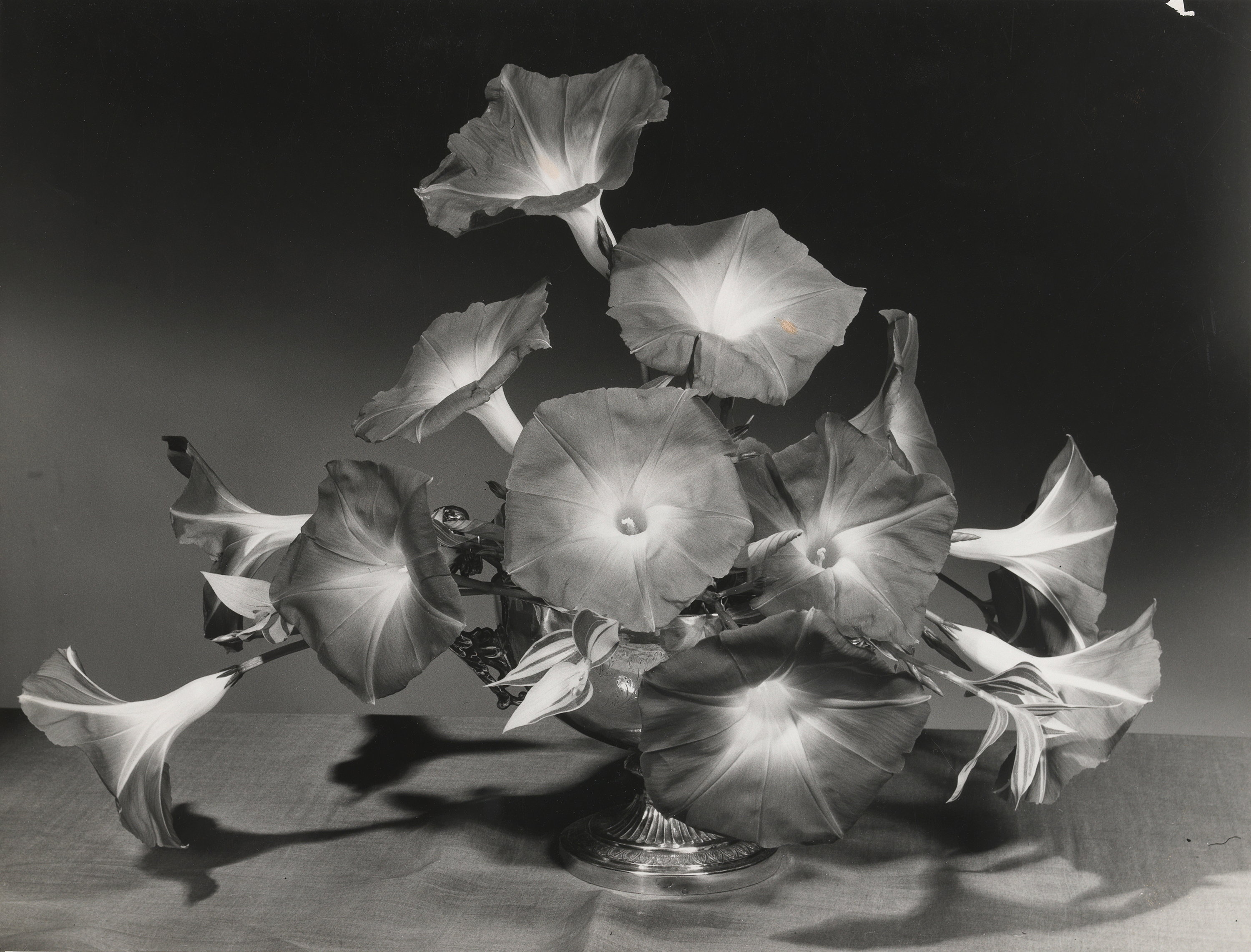 Morning glory arrangement, c.1930.