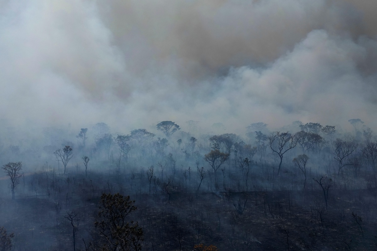 Brasília National Park, 16 September 2024. Photo © Eraldo Peres / AP / Alamy