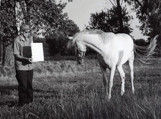 ‘Untitled (Horse), Invisible Painting/Energy’ by Bruno Jakob (2003)
