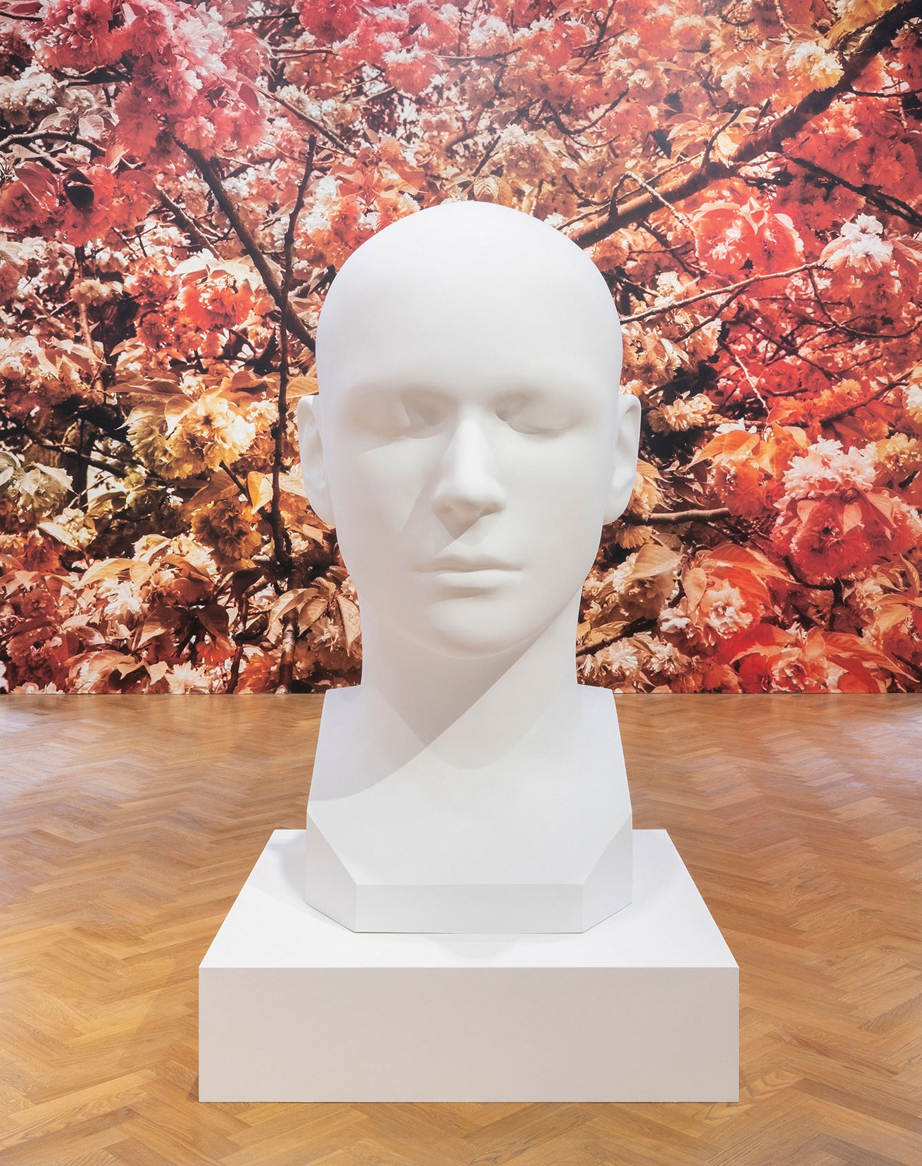 ‘The Standard Head’ (2020).